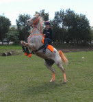 Shian - Mâle (22 ans)