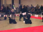 Paris Dog Show 2006 -