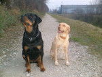marge et ulina -