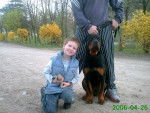 rottweiller Alto -