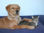 Wilson et Leeloo -
