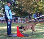 mali, uness au fly -