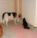 auxonne et jura.ao&ucirc;t 2007 155.JPG -