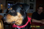 Rott. SOOKA -
