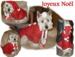 le 1er noel de looping -