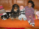 Awen et Bingo avec leurs petits maîtres -