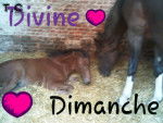 Dimanche et Divine - (16 ans)