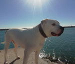 Photo (2 ans et 3 mois)