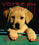 Jar - Mâle (2 mois)