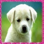 1 petite de la famille nombreuse - (1 mois)