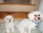 Cody and Cindy - (5 ans)