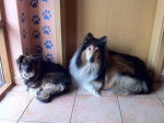 Lucky und Kesi -