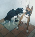 Wind y Sweet - (3 ans)