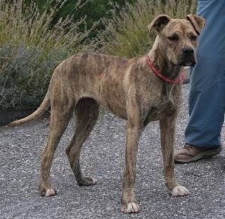 Wisper - (3 ans)