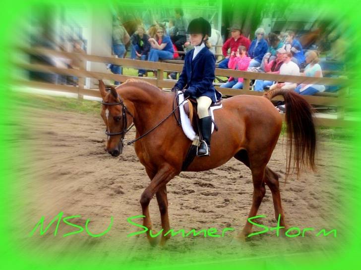 MSU Summer Storm - (21 ans)