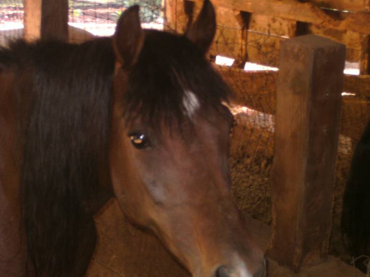 Kid - (2 ans)
