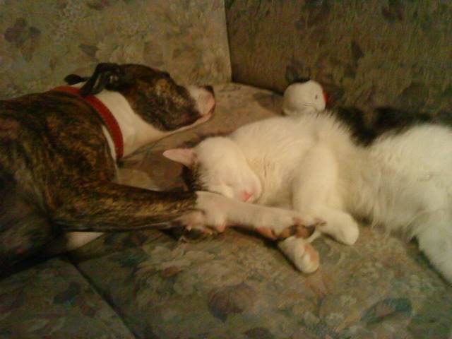 Kira und Chucky -