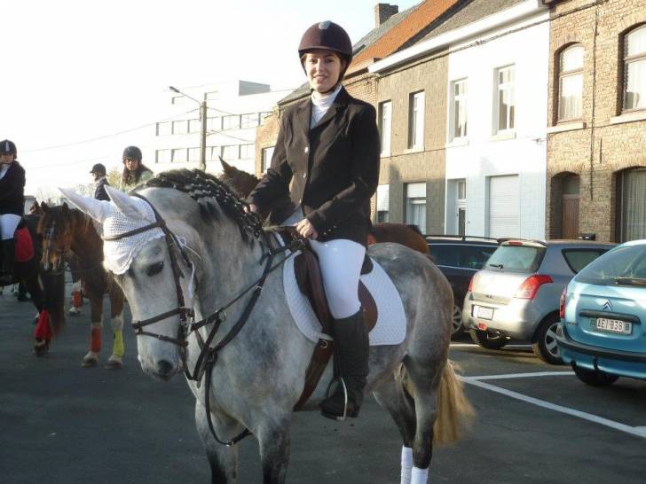 Fandango - Mâle (5 ans)