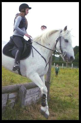 Kaplan - Mâle (13 ans)