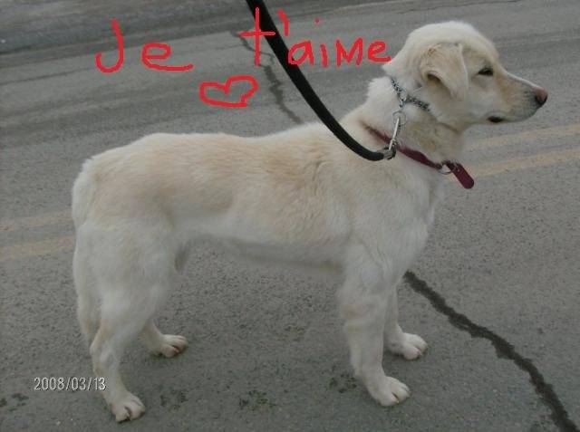 Roxy - (2 ans)