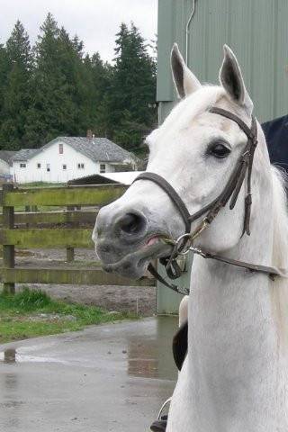 Libby - (17 ans)