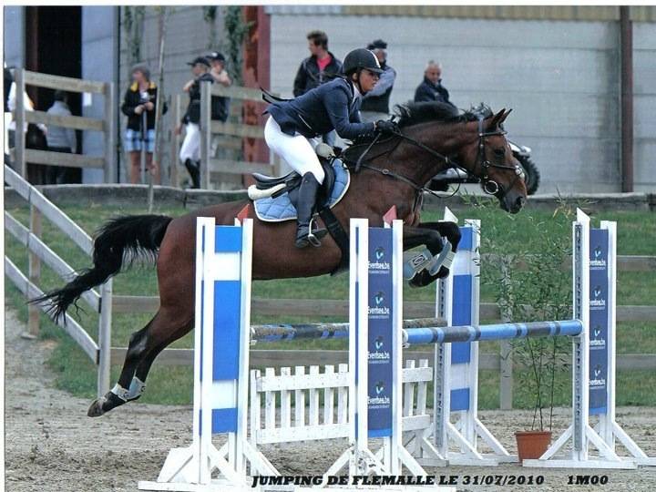 Dorango - Mâle (17 ans)