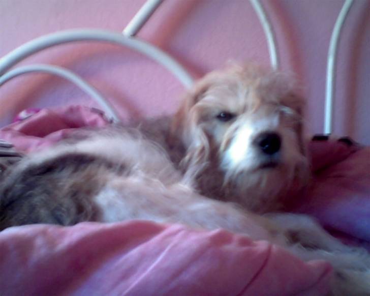 Ellie - (10 ans)