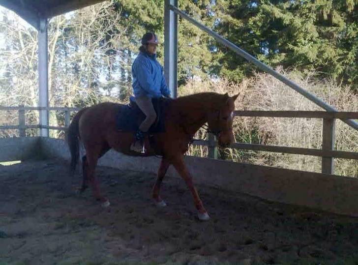 Smartie Pants - (8 ans)