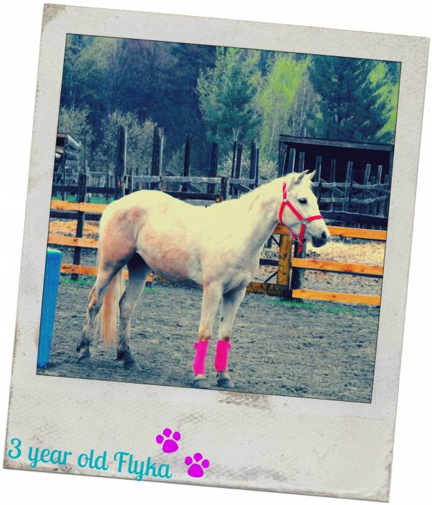Flyka - (3 ans)