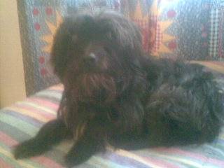 mia - (7 ans)