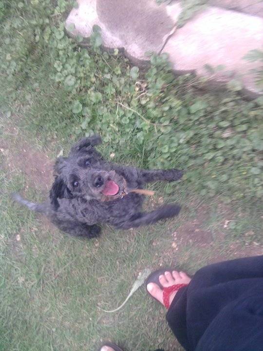 Choupette - (13 ans)