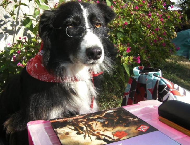 Api - Femelle (4 mois)