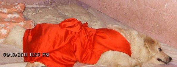 Chiky con su vestido - (4 ans)