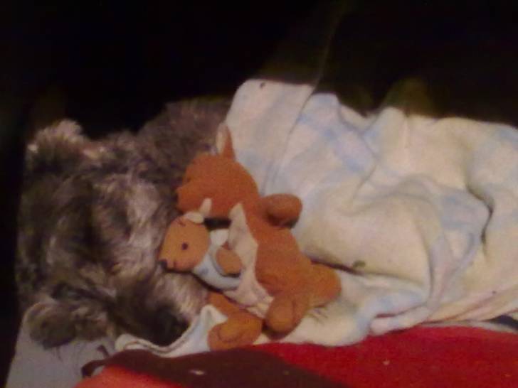 momo - Mâle (8 mois)