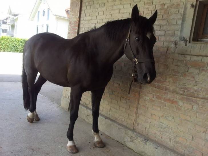 Ural :) - Mâle (18 ans)
