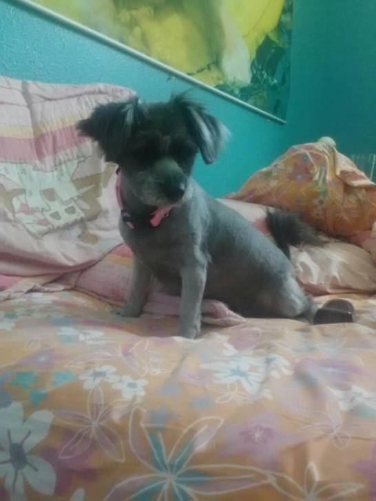 Chloe - (2 ans)