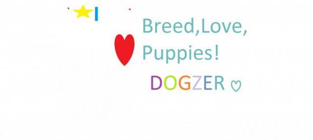 Dogzer -