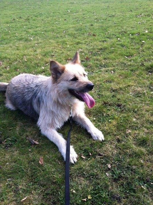 Kira - (2 ans)