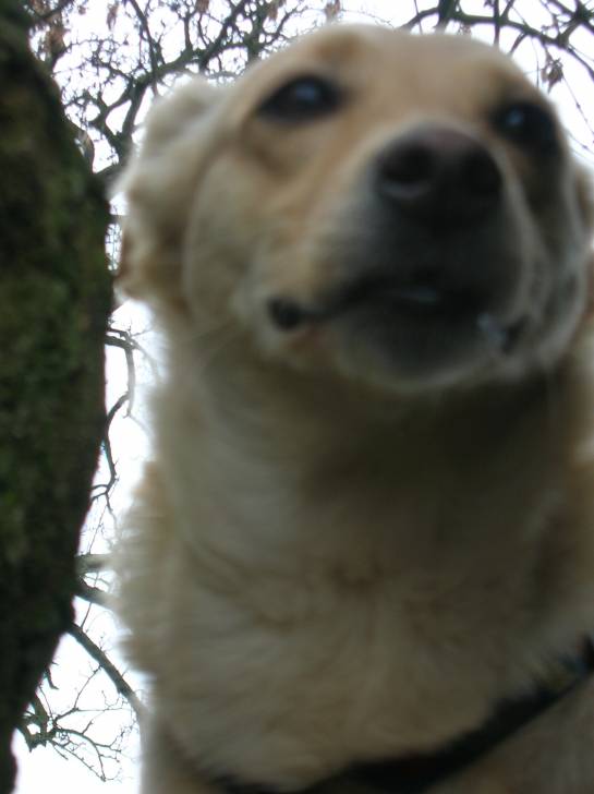 kawette - (6 ans)