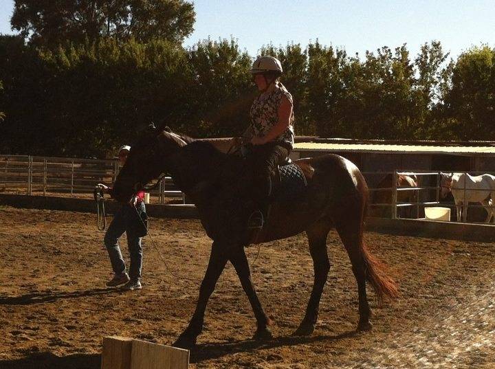 midnight - (7 ans)