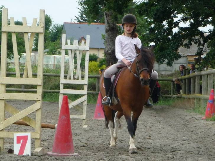 ténor - Mâle (6 ans)