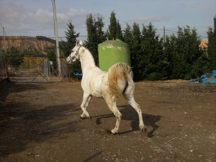 Julieta - (8 ans)