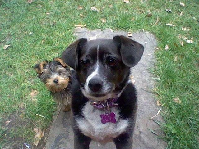 Millie And Lou - (6 ans)