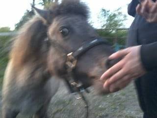 Bubbles - (3 ans)