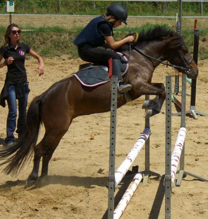 sassi et moi - (5 ans)