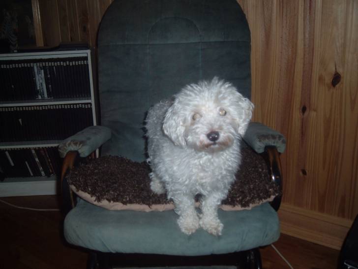 petite cote - (9 ans)