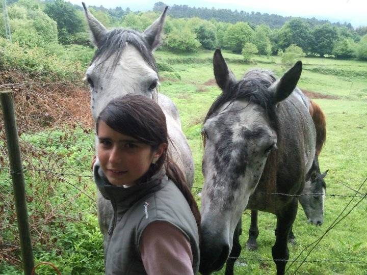 mis caballos - Mâle (6 ans)