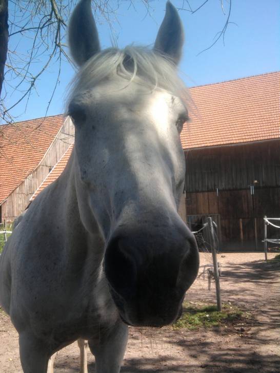 Susi - (17 ans)