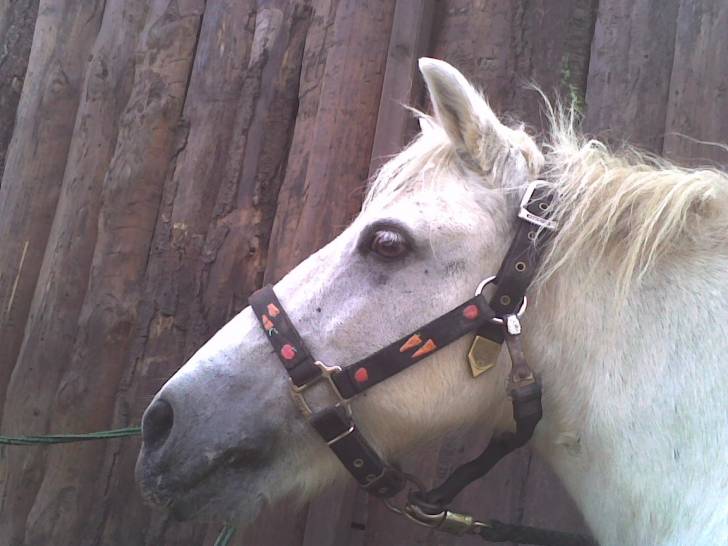 sandy - (13 ans)