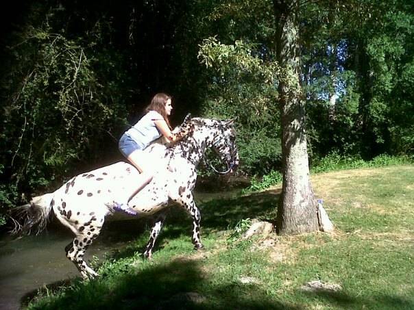 A la rivière... - Mâle (11 ans)